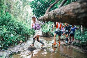 BIB: 
                            <button type="button" onclick="openModal(25373136)" class="btn btn-primary btn-sm float-right btn-popup" data-toggle="modal" data-target=".modal-high-quality">
                        <i class="fas fa-shopping-cart"></i> Add to Cart
                    </button>
                                            <button type="button" onclick="isThisMe(25373136, true)" class="btn btn-success btn-sm float-right btn-popup btn-isme hidden" data-toggle="tooltip" data-placement="bottom" title="นี่คือรูปของคุณใช่ไหม คลิกที่นี่เพื่อเอาเข้าอัลบั้ม">
                        <i class="fas fa-plus"></i> Add to album
                    </button>
                    <button type="button" onclick="isThisMe(25373136, false)" class="btn btn-warning btn-sm float-right btn-popup btn-isnotme hidden">
                        <i class="fas fa-ban"></i> Remove from album
                    </button>